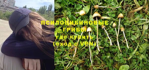 ПСИЛОЦИБИНОВЫЕ ГРИБЫ Аркадак